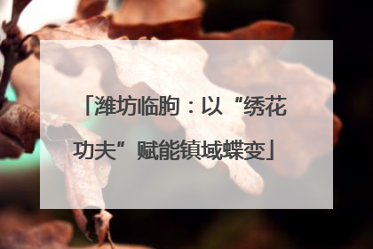 潍坊临朐：以“绣花功夫”赋能镇域蝶变