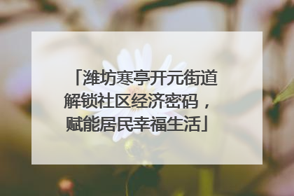 潍坊寒亭开元街道解锁社区经济密码，赋能居民幸福生活
