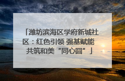 潍坊滨海区学府新城社区：红色引领 强基赋能 共筑和美“同心圆”