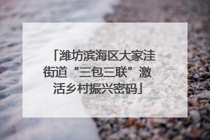 潍坊滨海区大家洼街道“三包三联”激活乡村振兴密码