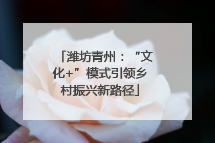 潍坊青州：“文化+”模式引领乡村振兴新路径