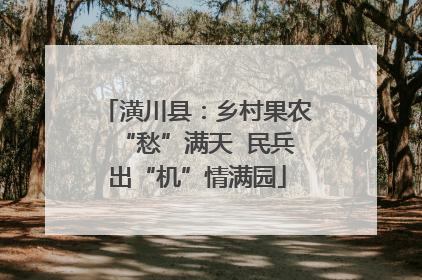 潢川县：乡村果农“愁”满天  民兵出“机”情满园