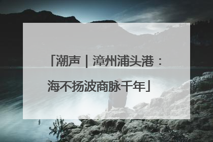 潮声｜漳州浦头港：海不扬波商脉千年