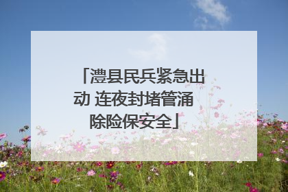 澧县民兵紧急出动 连夜封堵管涌除险保安全