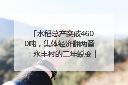 水稻总产突破4600吨，集体经济翻两番：永丰村的三年蜕变｜您牵挂的四川