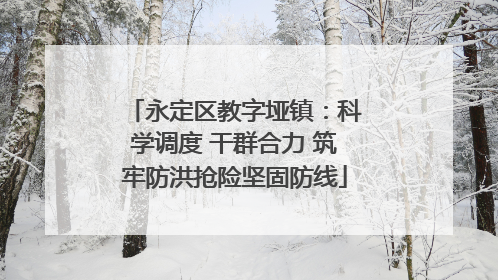 永定区教字垭镇：科学调度 干群合力 筑牢防洪抢险坚固防线