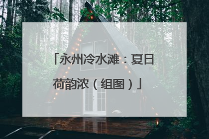 永州冷水滩：夏日荷韵浓（组图）