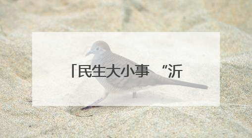 民生大小事 “沂心沂意”办丨“东里有礼·齐心办 便民服务赶大集”——淄博市沂源县开展民生政策宣传活动