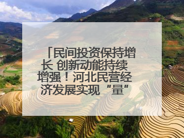 民间投资保持增长 创新动能持续增强！河北民营经济发展实现“量”“质”双提升