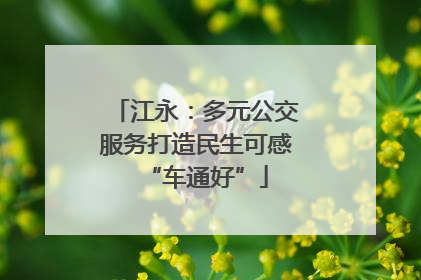 江永：多元公交服务打造民生可感“车通好”