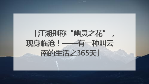 江湖别称“幽灵之花”，现身临沧！——有一种叫云南的生活之365天