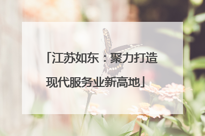 江苏如东：聚力打造现代服务业新高地