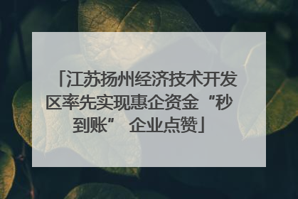 江苏扬州经济技术开发区率先实现惠企资金“秒到账” 企业点赞
