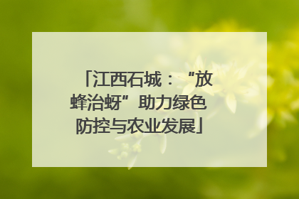 江西石城：“放蜂治蚜”助力绿色防控与农业发展