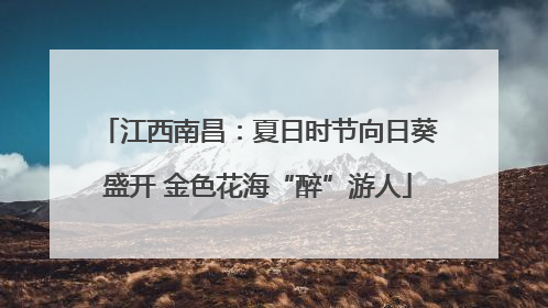 江西南昌：夏日时节向日葵盛开 金色花海“醉”游人