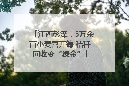 江西彭泽：5万余亩小麦喜开镰 秸秆回收变“绿金”