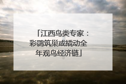 江西鸟类专家：彩鹮筑巢或撬动全年观鸟经济链
