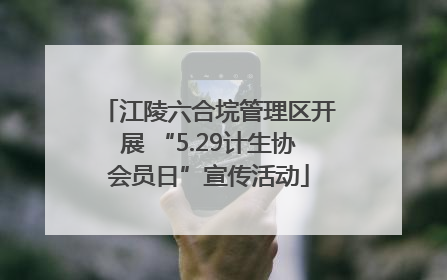 江陵六合垸管理区开展 “5.29计生协会员日”宣传活动