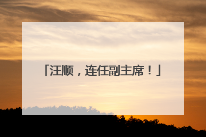 汪顺，连任副主席！