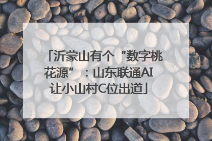 沂蒙山有个“数字桃花源”：山东联通AI让小山村C位出道