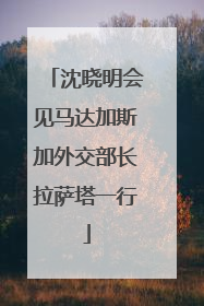 沈晓明会见马达加斯加外交部长拉萨塔一行