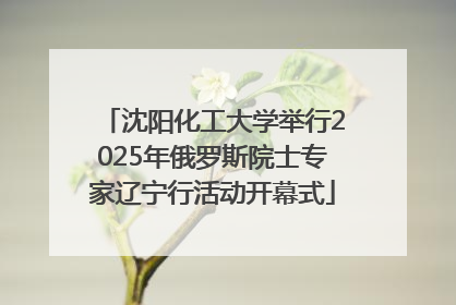 沈阳化工大学举行2025年俄罗斯院士专家辽宁行活动开幕式