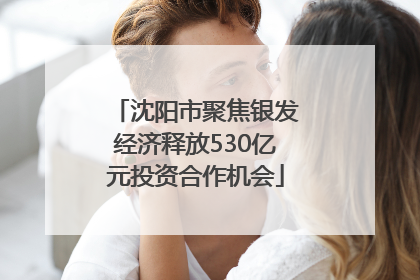 沈阳市聚焦银发经济释放530亿元投资合作机会