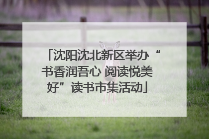 沈阳沈北新区举办“书香润吾心 阅读悦美好”读书市集活动