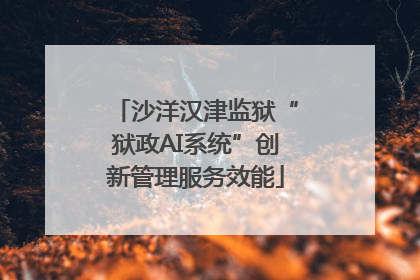 沙洋汉津监狱“狱政AI系统”创新管理服务效能