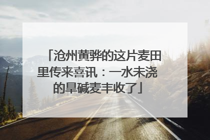 沧州黄骅的这片麦田里传来喜讯：一水未浇的旱碱麦丰收了