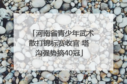 河南省青少年武术散打锦标赛收官 塔沟强势摘40冠