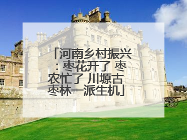 河南乡村振兴：枣花开了 枣农忙了 川塬古枣林一派生机