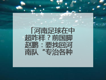 河南足球在中超咋样？前国脚赵鹏：要找回河南队“专治各种不服”的精神
