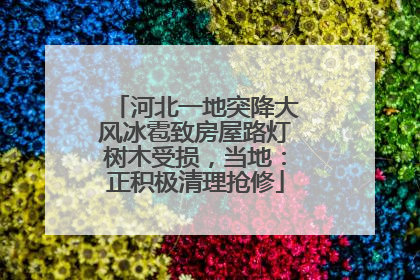 河北一地突降大风冰雹致房屋路灯树木受损，当地：正积极清理抢修