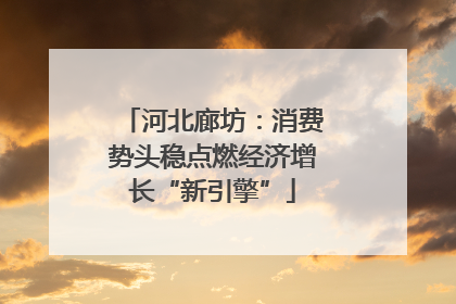 河北廊坊：消费势头稳点燃经济增长“新引擎”