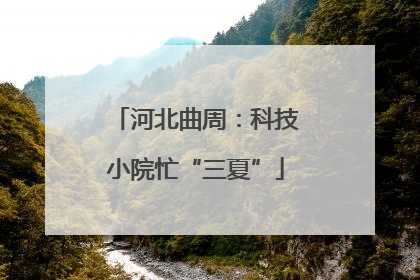 河北曲周：科技小院忙“三夏”