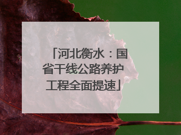 河北衡水：国省干线公路养护工程全面提速
