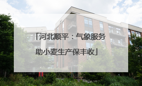 河北顺平：气象服务助小麦生产保丰收