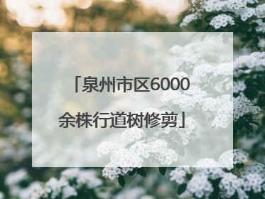 泉州市区6000余株行道树修剪