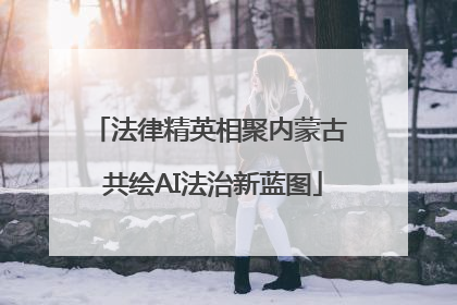 法律精英相聚内蒙古 共绘AI法治新蓝图