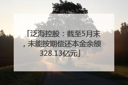 泛海控股：截至5月末，未能按期偿还本金余额328.13亿元