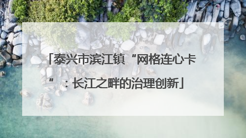 泰兴市滨江镇“网格连心卡”：长江之畔的治理创新