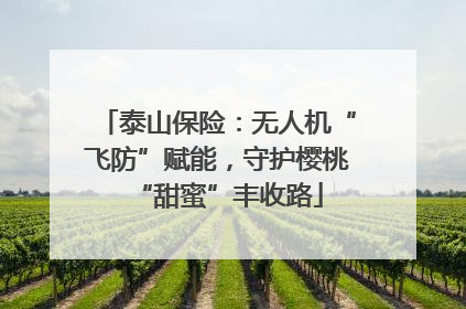 泰山保险：无人机“飞防”赋能，守护樱桃“甜蜜”丰收路