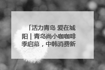 活力青岛 爱在城阳｜青岛尚小咖咖啡季启幕，中韩消费新场景点燃夏日热情