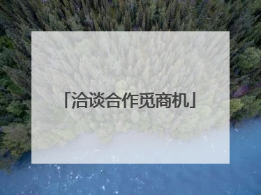 洽谈合作觅商机