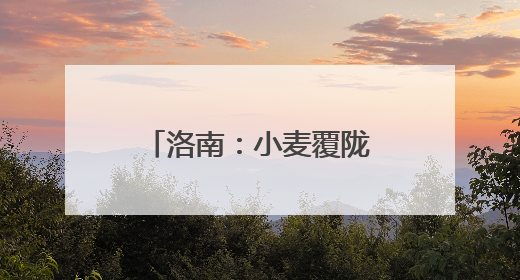 洛南：小麦覆陇黄 丰收好时节