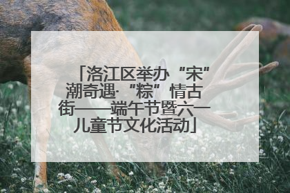 洛江区举办“宋”潮奇遇·“粽”情古街——端午节暨六一儿童节文化活动