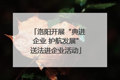 洛阳开展“典进企业 护航发展”送法进企业活动