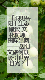 洞见岳阳丨生态赋能 文化铸魂 国际出圈——岳阳文旅何以吸引世界目光？