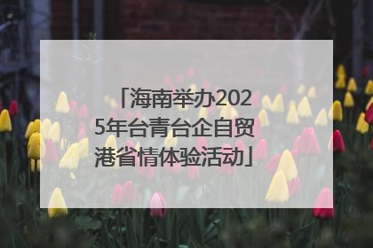 海南举办2025年台青台企自贸港省情体验活动
